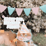 amy_taylorsversion13