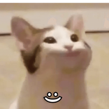 bianmtz5
