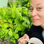bsgardening