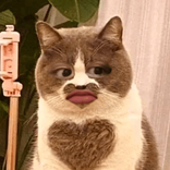 chojo888