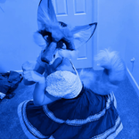 foxtrotx32