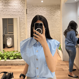geminimira6