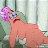 htxstassie