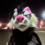 hunterpaws89