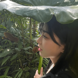 kai________garasagashi