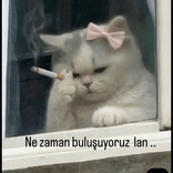 kedigizem3