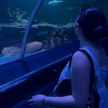lilydontgivasht