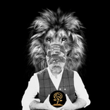 lionvest