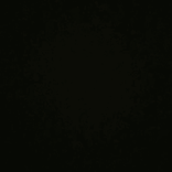 luciehoudkova_ TikTok live recordings