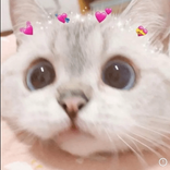 merissa1901 TikTok live recordings