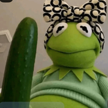 mewsforviews