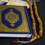nabi2463