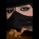 nonii373 TikTok live recordings