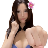 phannhdung410