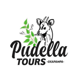 pudellatours.oxapampa TikTok live recordings