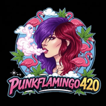 punkflamingo420