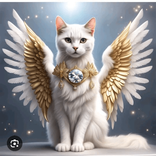 skyannelshields