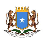 somali TikTok live recordings