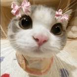 ticerlawa6