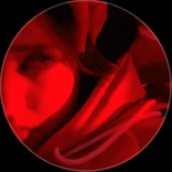 tiktok.cggyhgcghi TikTok live recordings