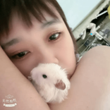 user94146150283816 TikTok live recordings