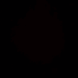 user_237796 TikTok live recordings