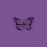 yammy_banana TikTok live recordings