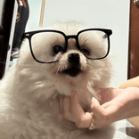 zrogravt TikTok live recordings